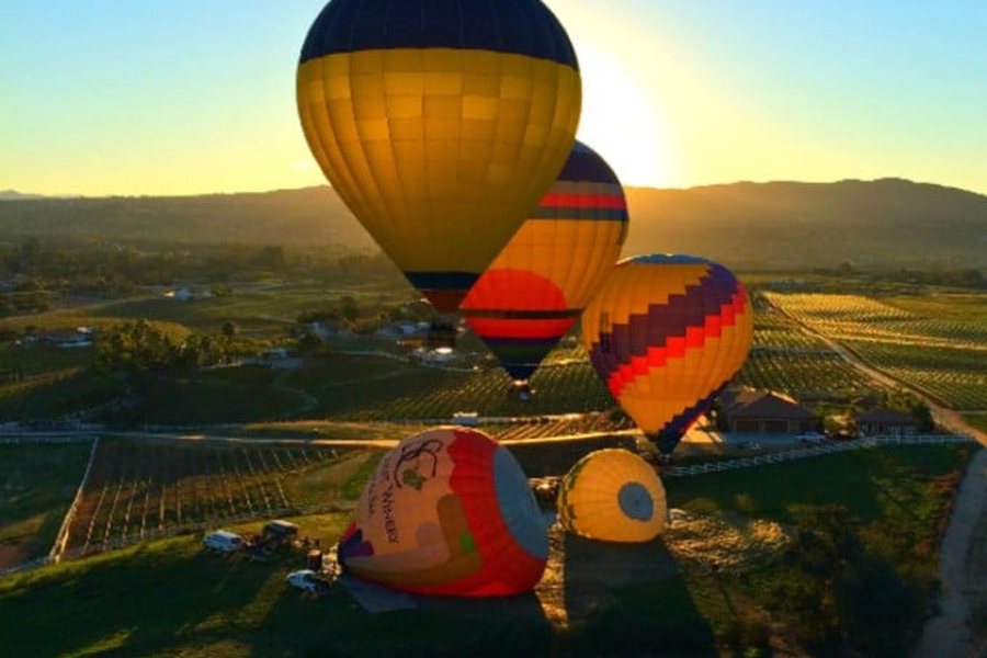 Hot air balloons over vineyards at sunrise