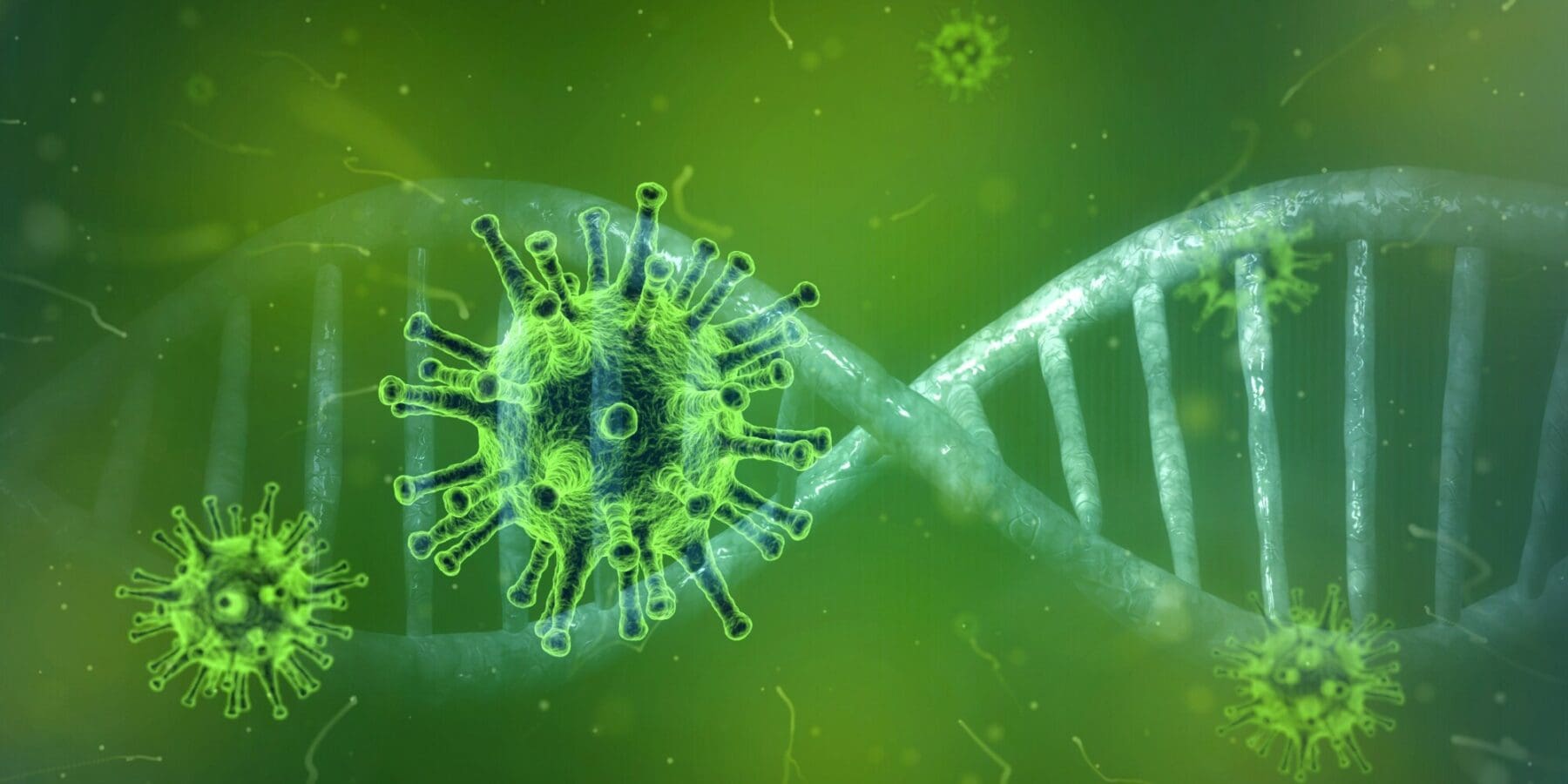 Rapid Antigen Tests Kit