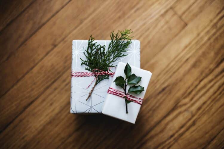 eco-friendly gift